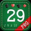 29 Card Game Pro 29 card game pro