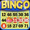 Bingo Game bingo game