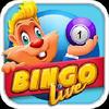 Bingo Live: Free Bingo bingo live: free bingo