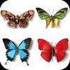 Butterfly Memory Game butterfly memory game