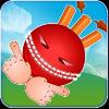 Crazy Cricket crazy cricket