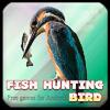 Fish hunting bird fish hunting bird