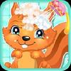 Squirrel Care game squirrel care game