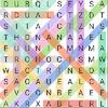 Word Search: Crossword word search: crossword