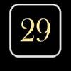 29 card game