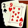29 Card Game