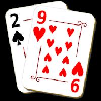 29 card game