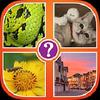4 pics 1 word gamelinkexchange