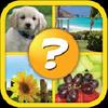 4 pics 1 word puzzle plus gamelinkexchange