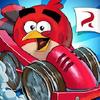 angry birds go