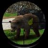 animal hunter 3d