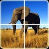 animal puzzle gamelinkexchange