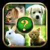 animals quiz gamelinkexchange