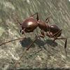 ant simulator 3d gamelinkexchange