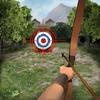 archery big match