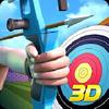 archery world champion 3d