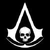 assassin's creed iv companion