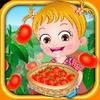 Baby Hazel Tomato Farming