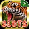 big cats slots