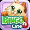 bingo cats gamelinkexchange