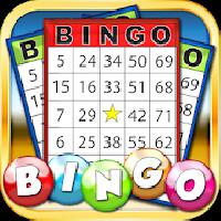 bingo: vegas and casino feel