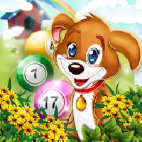 bingo pets party: dog days
