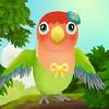 bird bnb