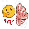 brain us