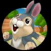 bunny run gamelinkexchange