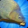 carp fishing simulator gamelinkexchange
