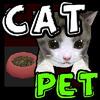 cat pet