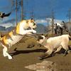 cat survival simulator