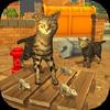 catty cat world