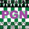 chess pgn viewer analyze