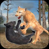 clan of puma