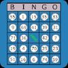 classic bingo touch gamelinkexchange