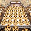 cookie dozer gamelinkexchange