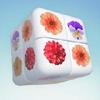cube master: pair match game