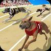 cute dog race