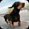 dog simulator 2017