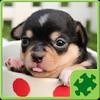 dogs puzzle