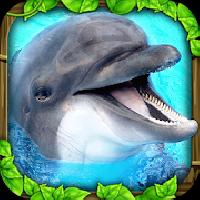 dolphin simulator