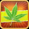 don't sell weed