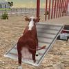 farm animals transporter truck
