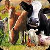 farm world