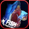 feed and grow shark fish