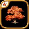 fire maple games collection gamelinkexchange