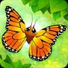 flutter: butterfly sanctuary gamelinkexchange