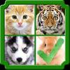 guess 4 pics 1 wrong