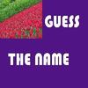 guess-the name